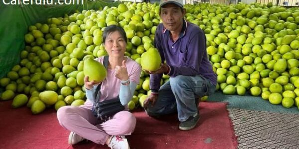 The farmers caught up in Taiwans tensions with China