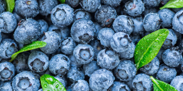 What Happens to Your Body When You Eat Blueberries Every Day
